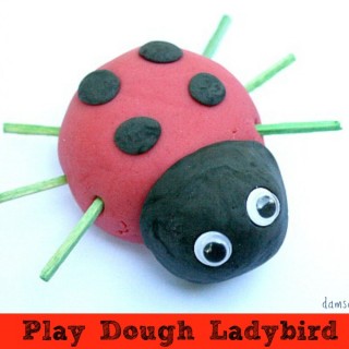 Play Dough Ladybird Kids Craft